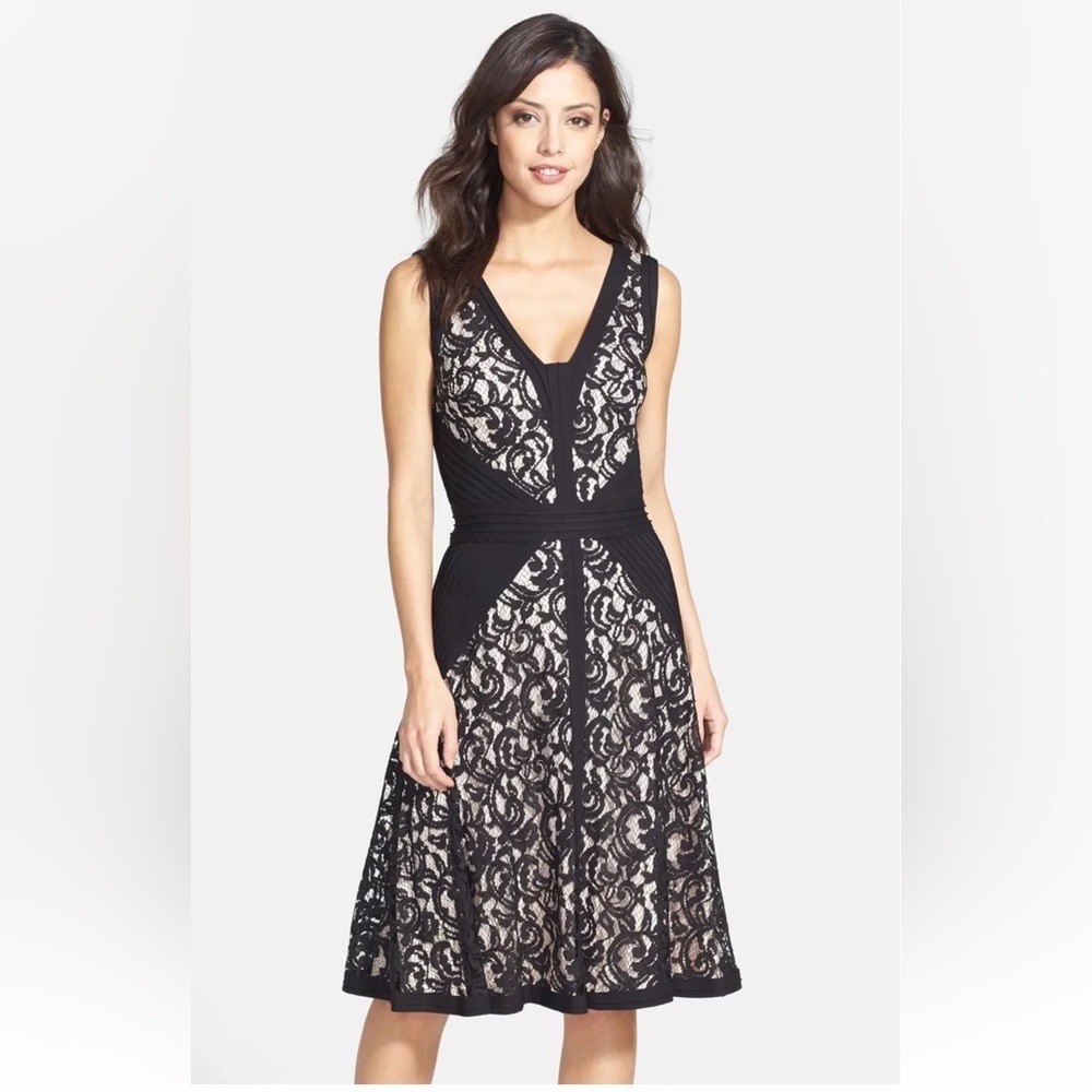 Tadashi Shoji Lace & Jersey Fit & Flare Dress Black & Nude Sleeveless Size 4​​